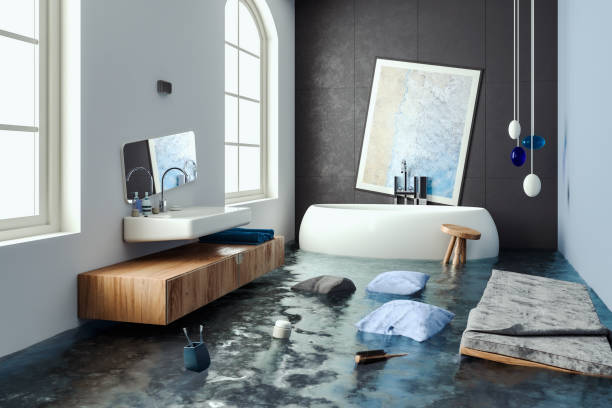 Best Carpet water damage restoration  in Buies Creek, NC