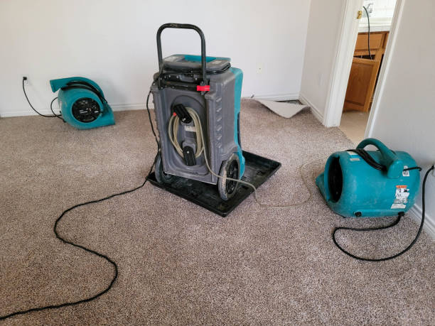 Best Emergency water damage restoration  in Buies Creek, NC