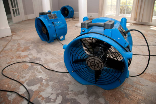 Best Water damage restoration company  in Buies Creek, NC