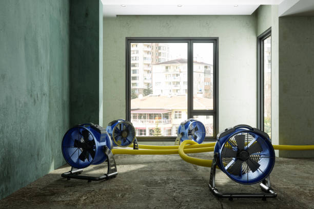 Best Water damage restoration near me  in Buies Creek, NC